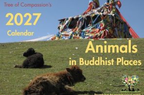 Tibetan prayer flags and young cows, Calendar cover